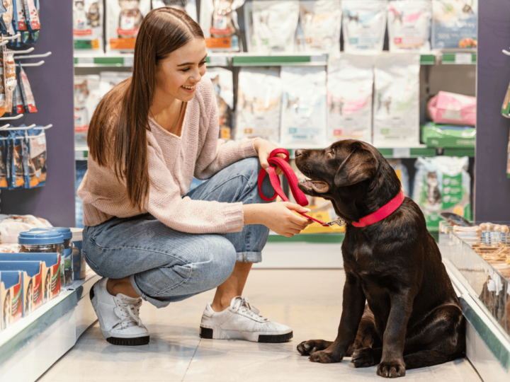 Find the Perfect Pet Shop with These Five Simple and Effective Tips