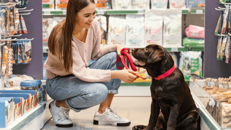 Find the Perfect Pet Shop with These Five Simple and Effective Tips