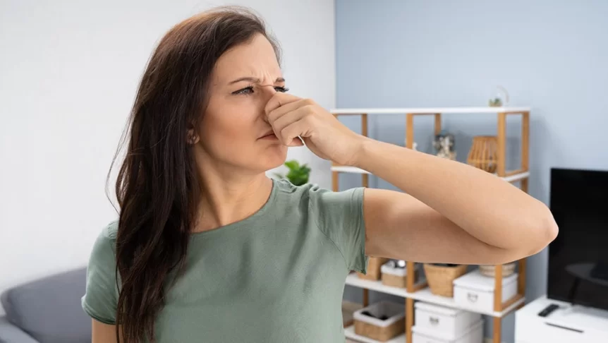 Unknown Reasons for House Odors and How to Avoid Them