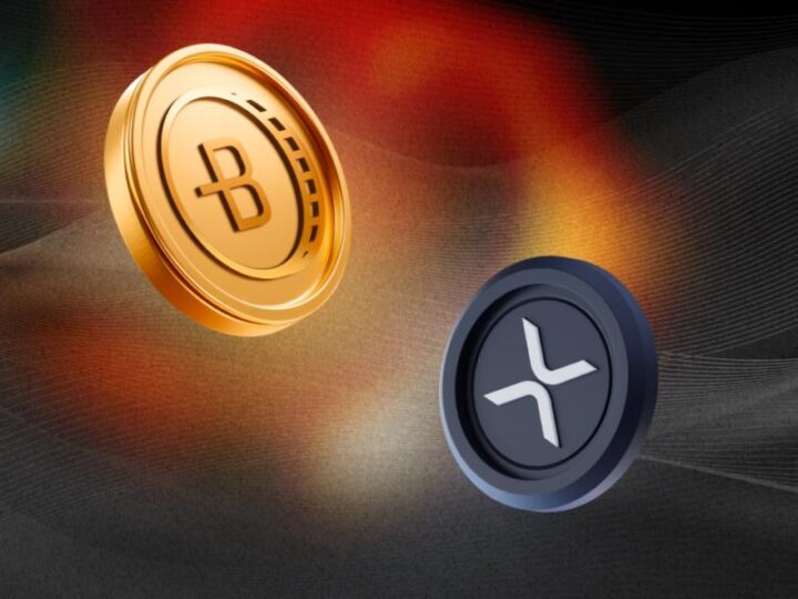 How social media trends are shaping XRP trading decisions?