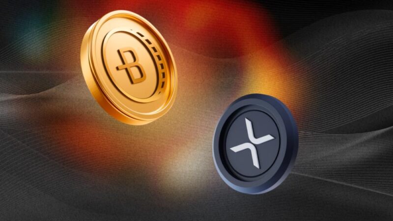 How social media trends are shaping XRP trading decisions?